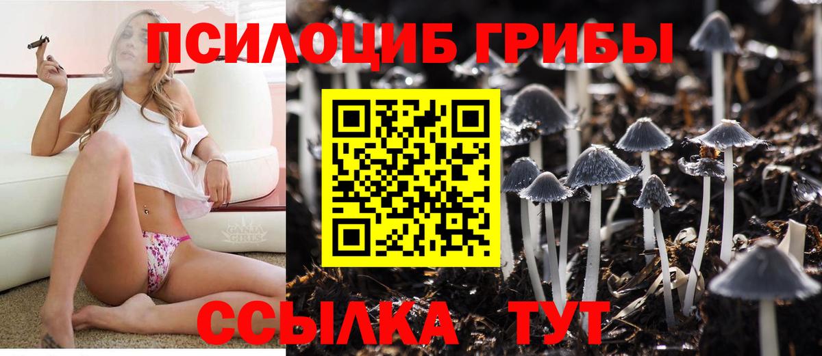Псилоцибиновые грибы Psilocybe  наркотики  Еманжелинск  Вход с VPN 
